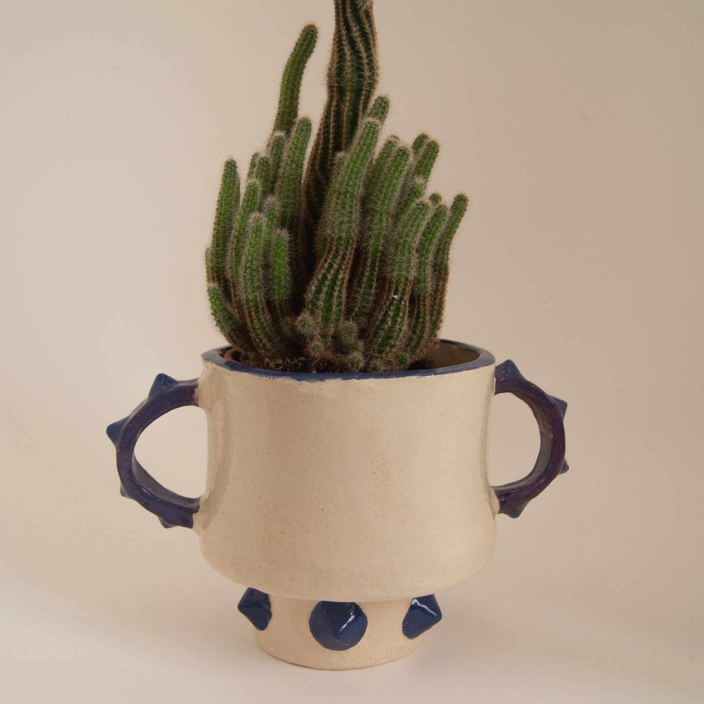 Plant vase with spikes