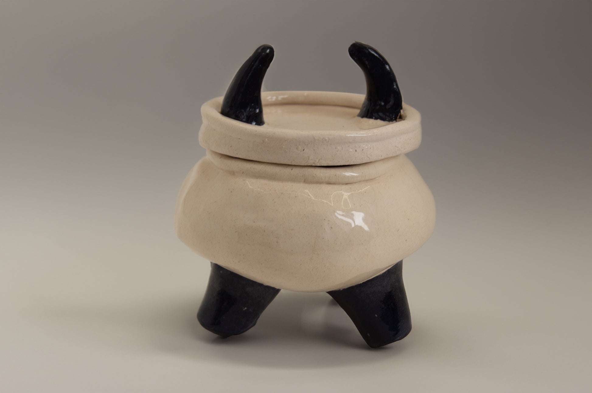 Ceramic box with horn details